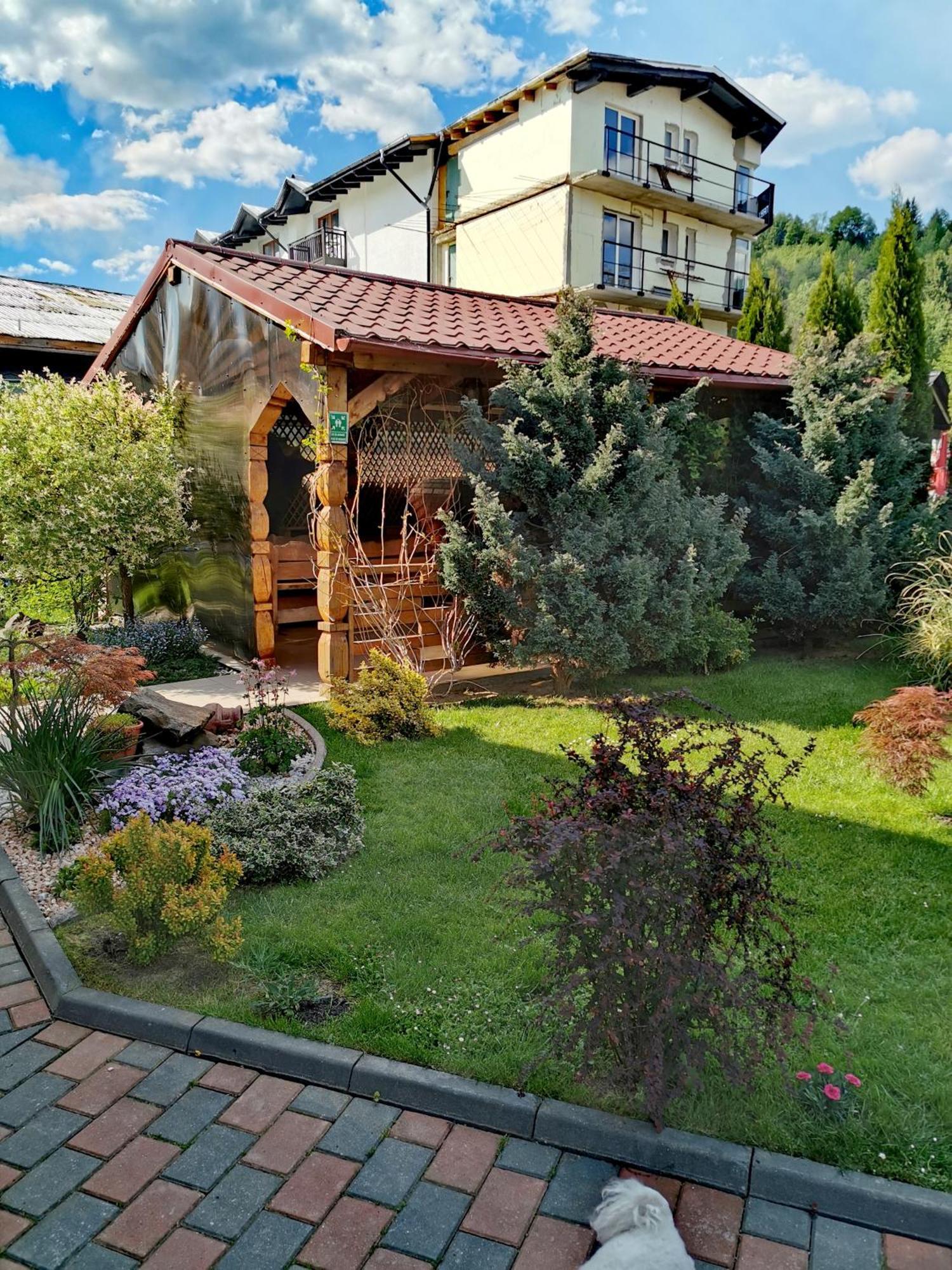 Vila Bijou Borşa Exterior foto